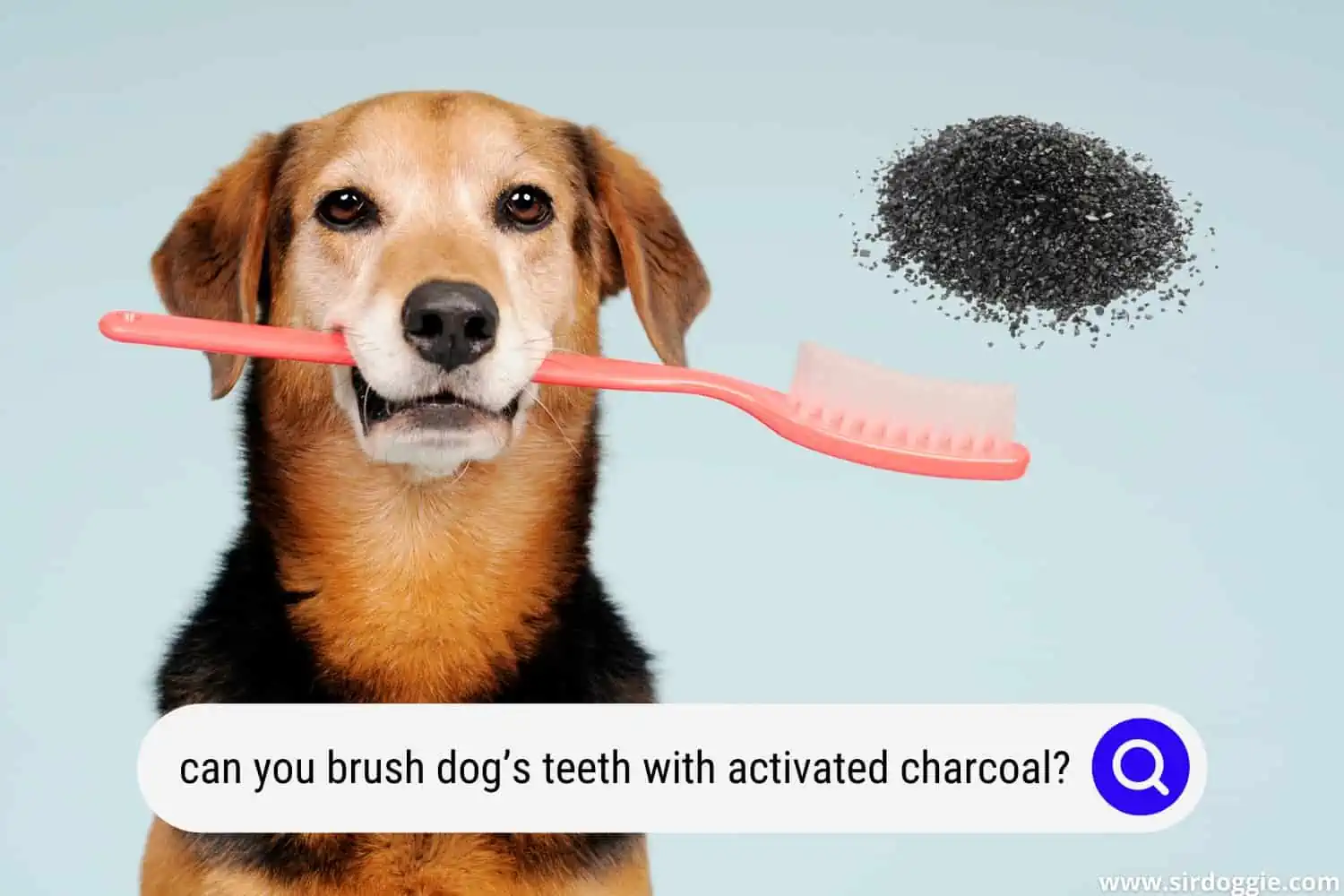 can you brush dog’s teeth with activated charcoal