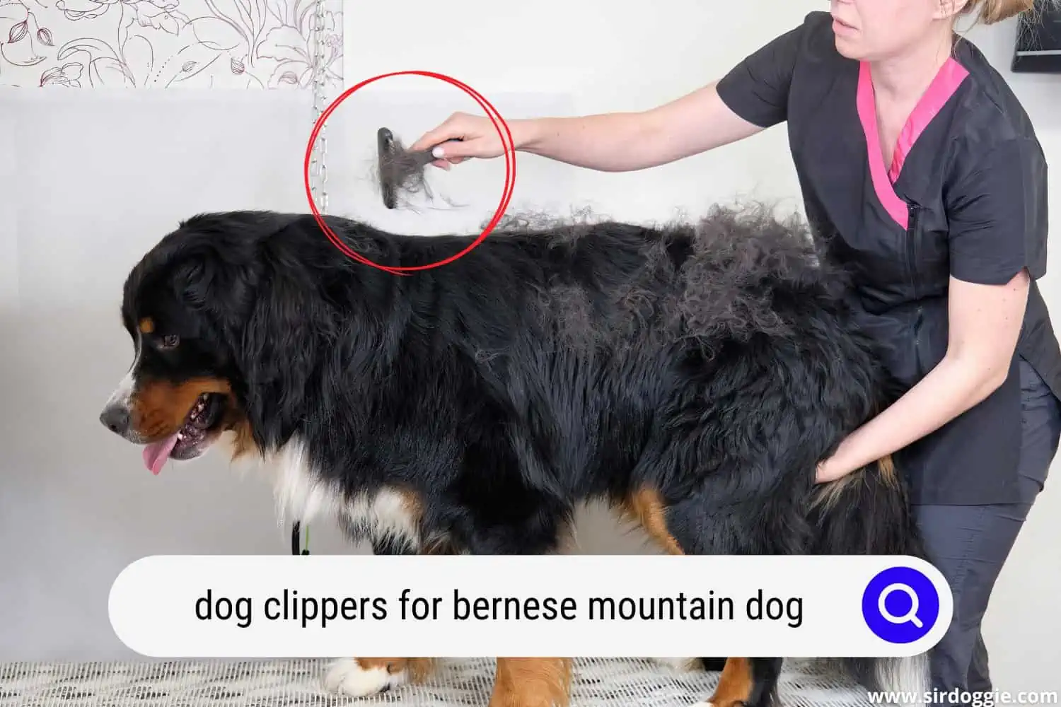 dog clippers for bernese mountain dog