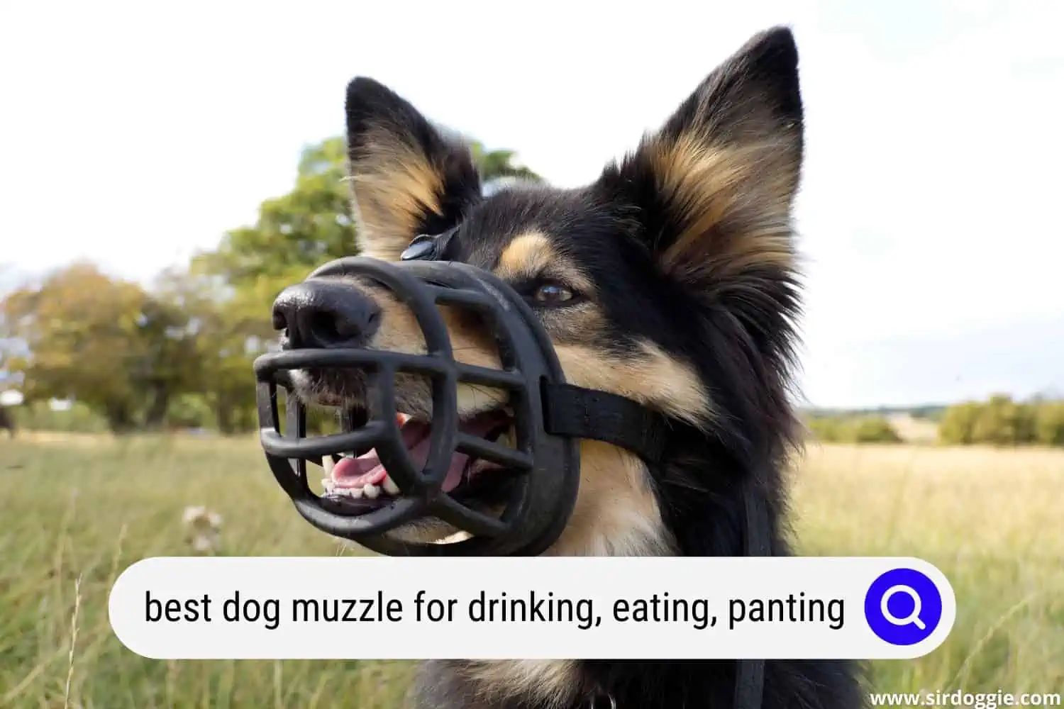 best dog muzzle for drinking eating panting