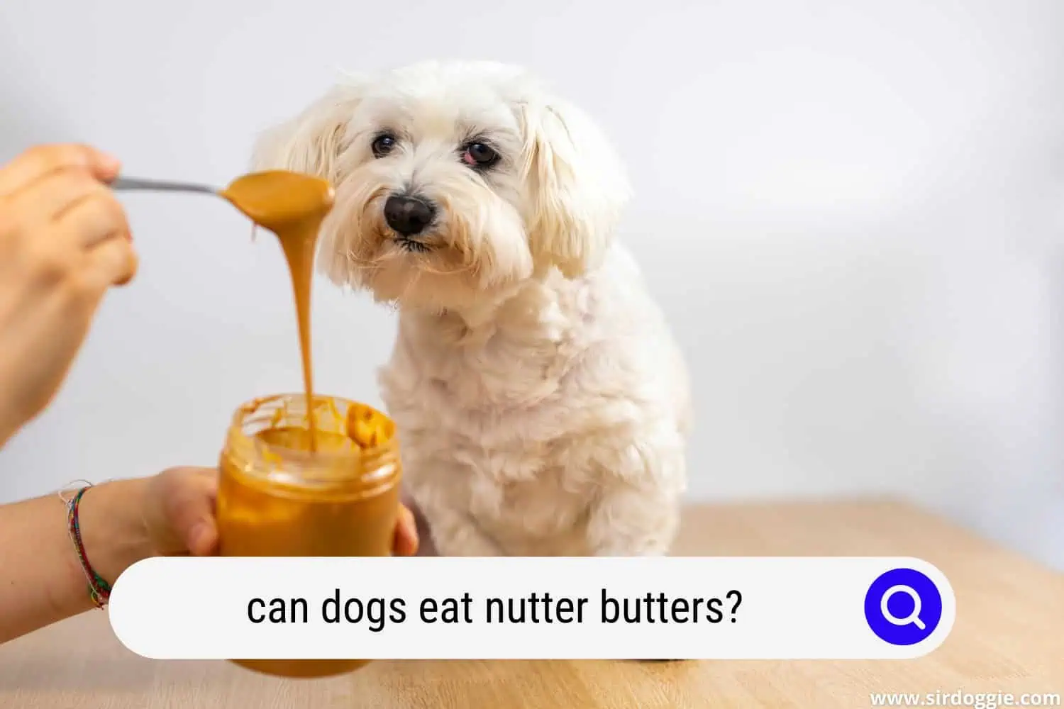 can dogs eat nutter butters