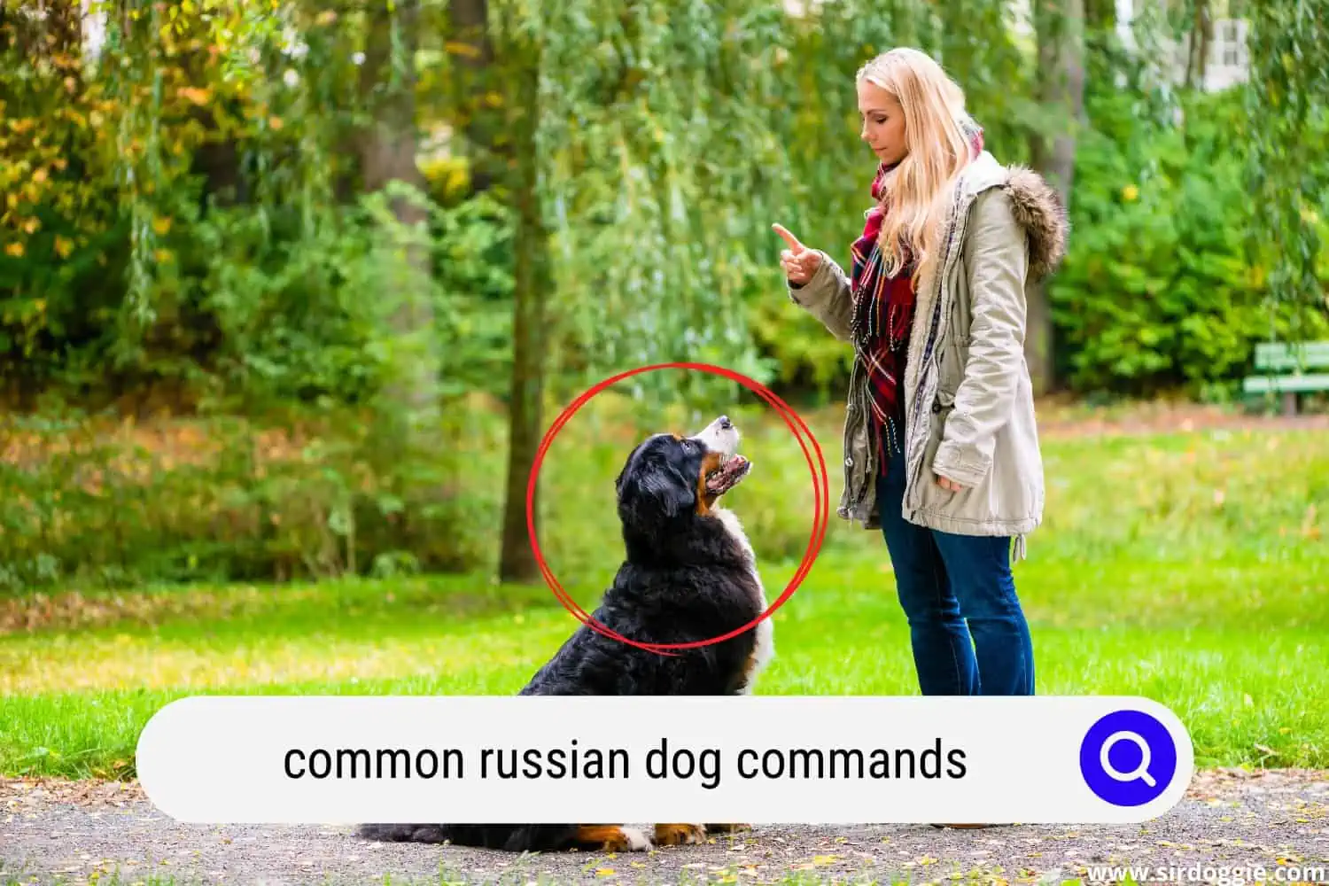 common russian dog commands
