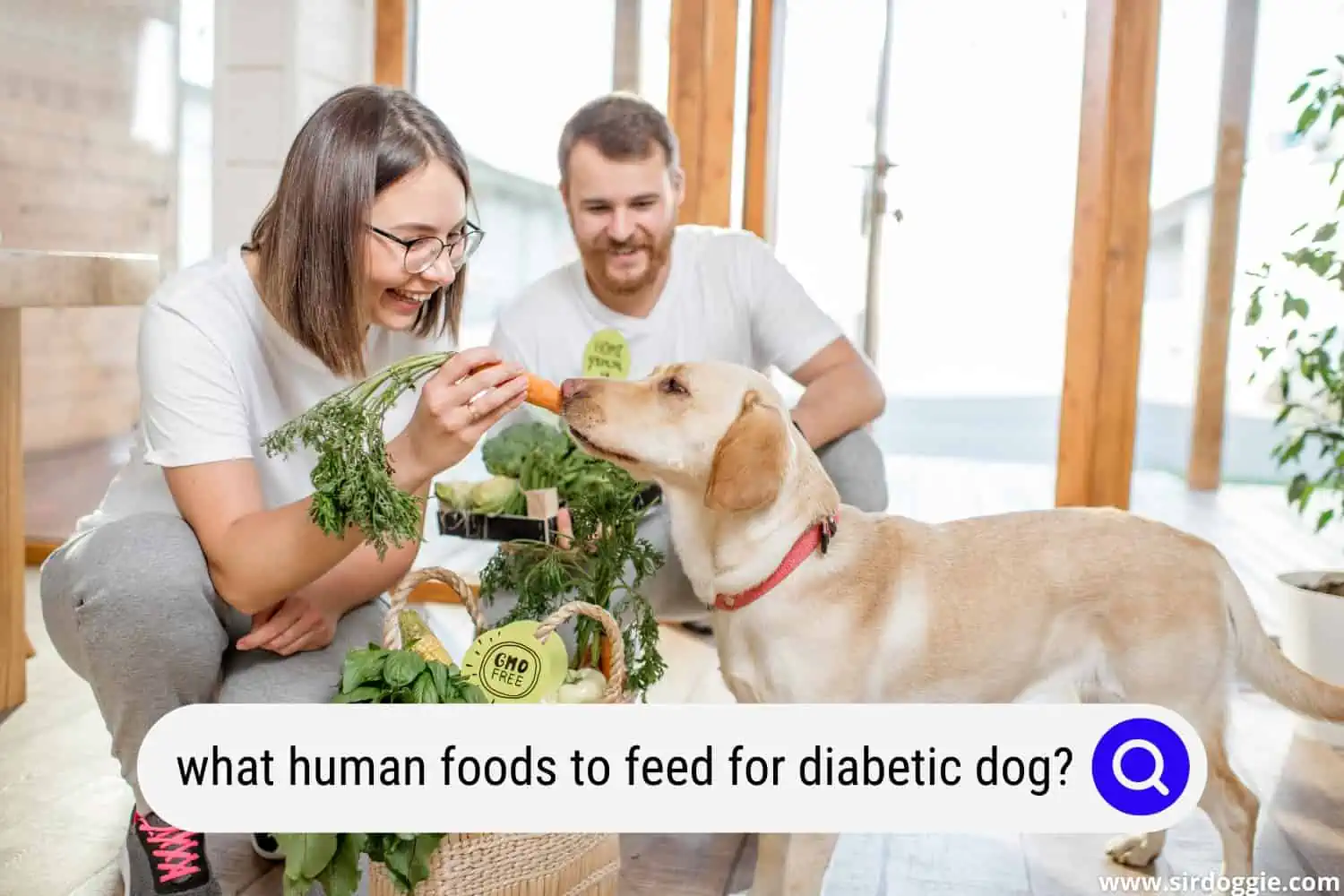human foods for diabetic dog