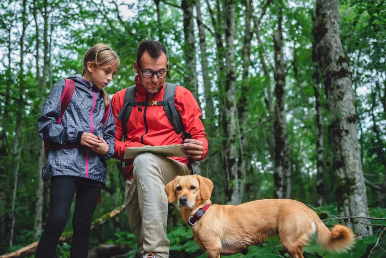 10 Small Dog Breeds To Take Hiking