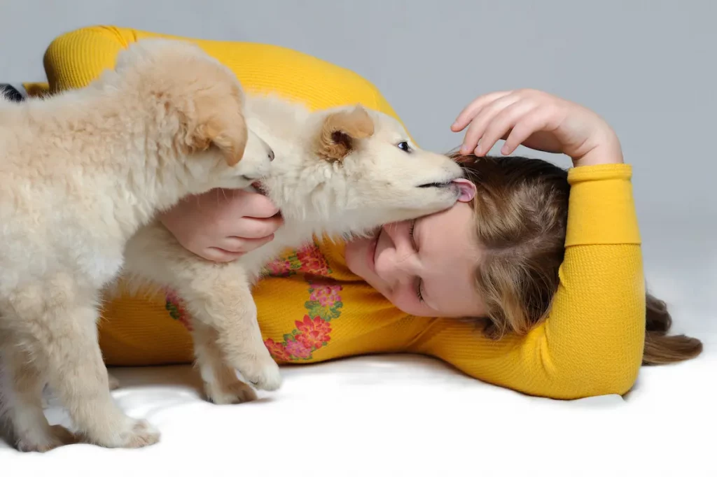 dog grooming person's hair