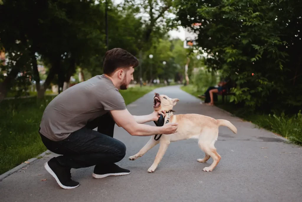 man trying to stop dog from growling in park