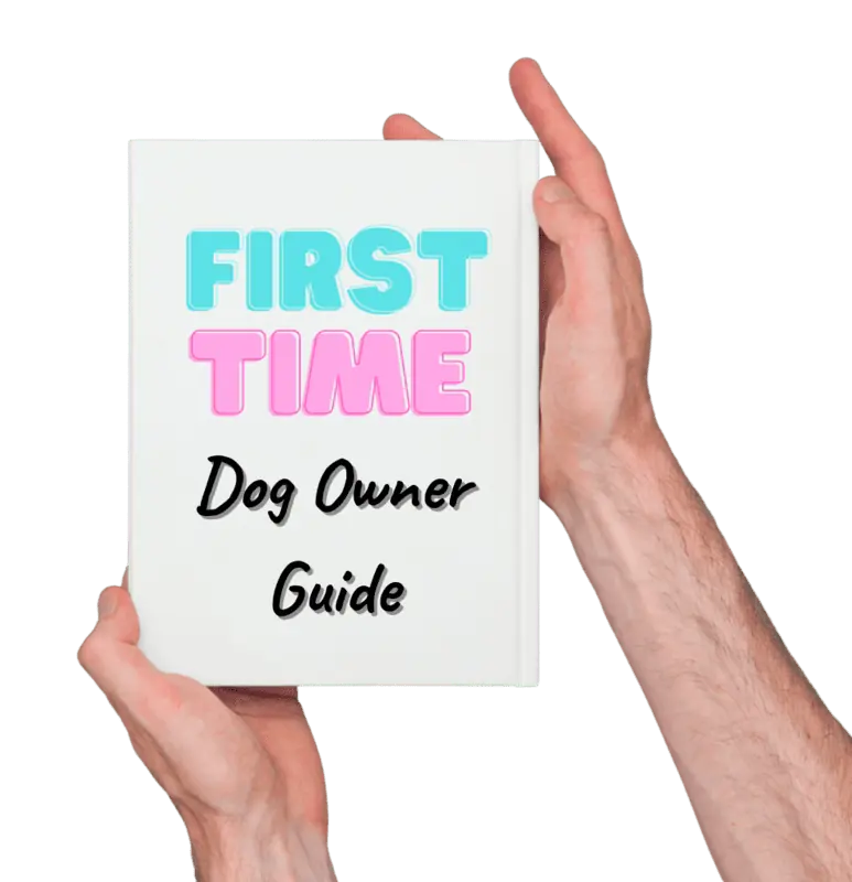 first time dog owner guide
