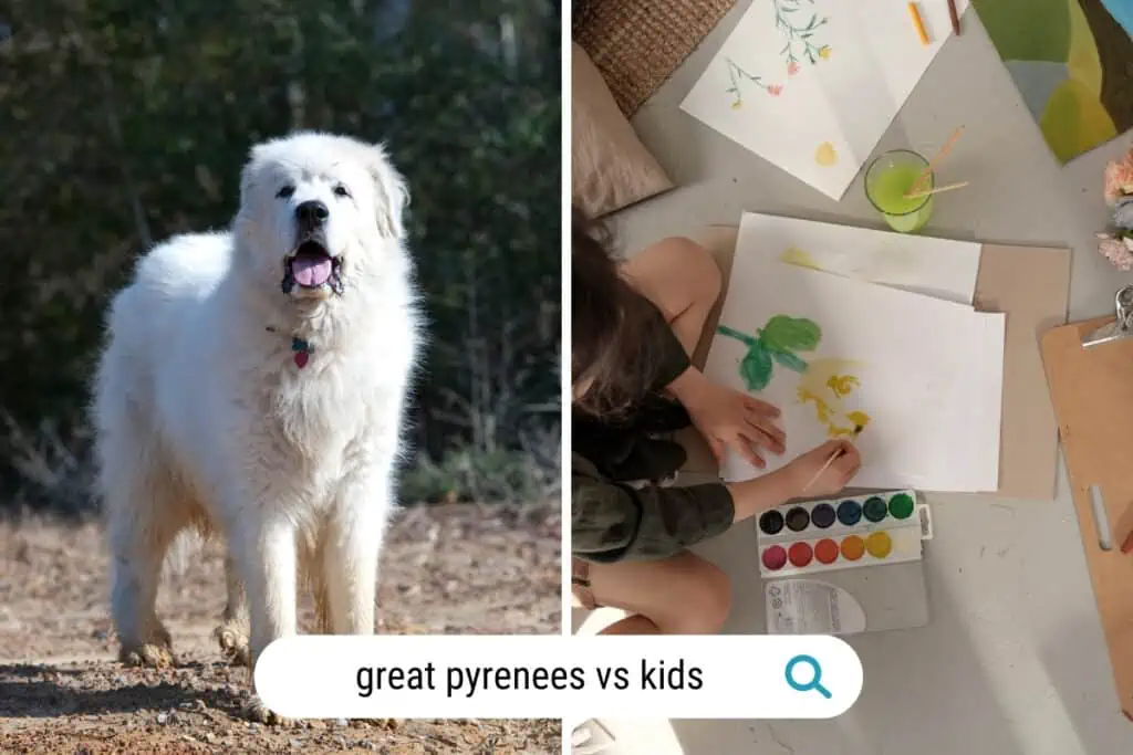 great pyrenees vs kids