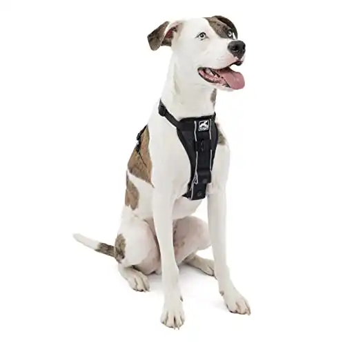Kurgo Dog Harness | Pet Walking Harness | Medium | Black | No Pull Harness Front Clip Feature for Training Included | Car Seat Belt | Tru-Fit Quick Release Style