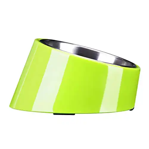 Super Design Mess Free 15 Degree Slanted Bowl for Dogs and Cats 3 Cup Green