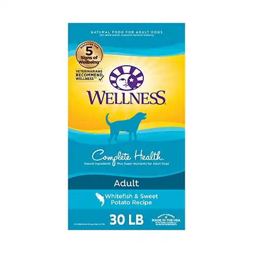 Wellness Natural Pet Food Complete Health Natural Dry Dog Food, Whitefish & Sweet Potato, 30-Pound Bag