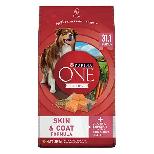 Purina ONE Natural, Sensitive Stomach Dry Dog Food, +Plus Skin & Coat Formula - 31.1 lb. Bag