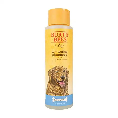Burt's Bees for Dogs Natural Whitening Shampoo with Papaya & Yogurt | Brightening White Dog Shampoo for All Dogs | Cruelty Free, Sulfate & Paraben Free, pH Balanced for Dogs - Made in USA...