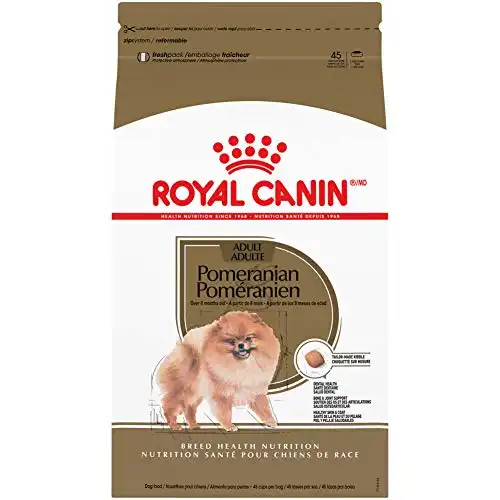 Royal Canin Breed Health Nutrition Pomeranian Dry Dog Food​, 10 lb bag