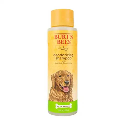 Burt's Bees for Dogs Natural Deodorizing Dog Shampoo with Apple & Rosemary | Dog Shampoo For Odors | Cruelty Free, Sulfate & Paraben Free, pH Balanced for Dogs - Made in USA, 16 Oz