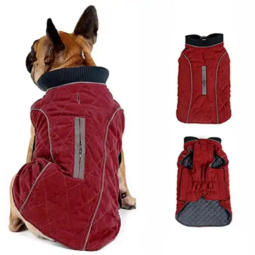 Morezi Dog Coat with Reflective strim, Winter Dog Jacket Water Resistant underbelly Warm Puppy Suit with Harness Hole - Suitable for French Bulldog, shitzu, Jack Russell Terrier - XL - Red