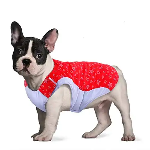 BRKURLEG Pet Dog Coat Vest for Small Medium Large French Bulldog,Lightweight Cozy Bulldog Cloth with Safety Reflective Stars,Waterproof Windproof Reversible Dog Cold Weather Jacket for Hiking Outdoor