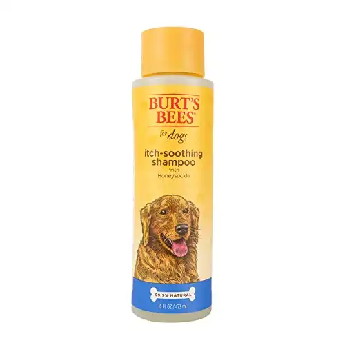 Burt's Bees for Dogs Itch Soothing Shampoo with Honeysuckle | Anti-Itch Dog Shampoo for Dogs with Sensitive Skin | Cruelty Free, Sulfate & Paraben Free, pH Balanced for Dogs - Made in the USA...