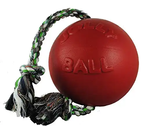Jolly Pets Romp-n-Roll Rope and Ball Dog Toy, 8 Inches/Large, Red (608 RD)