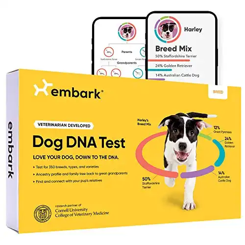 Embark Breed Identification Kit | Most Accurate Dog DNA Test | Test 350+ Dog Breeds | Breed ID Kit with Ancestry & Family Tree