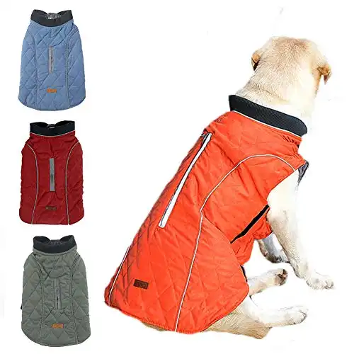 BALYLAS Winter Coat for Large Dogs, Dog Jacket for Cold Weather, Warm Dog Jacket for Large Dog, 2XL (XX-Large, Orange)