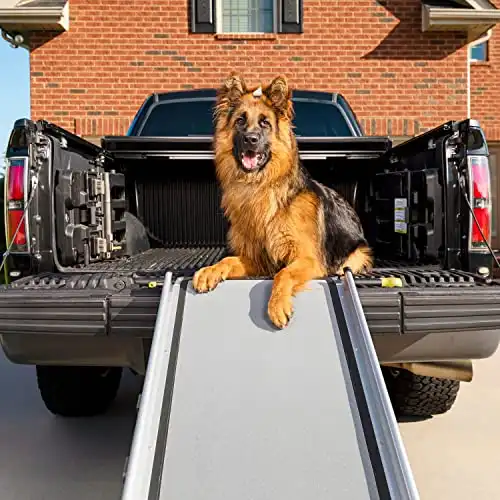 PetSafe Happy Ride Extra Long Telescoping Dog Ramp for Cars, Trucks, SUVs & Minivans - Extends 47 to 87 Inches - Portable Pet Ramp for Large Dogs - Aluminum Frame Weighs 18 lb, Supports up to 300 ...