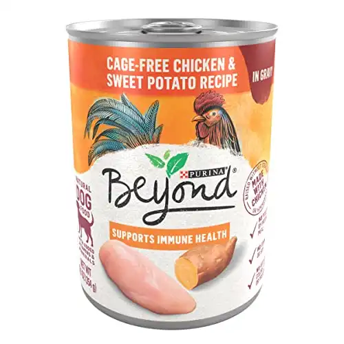 Purina Beyond Chicken and Sweet Potato in Gravy Grain Free Wet Dog Food - (12) 12.5 oz. Cans