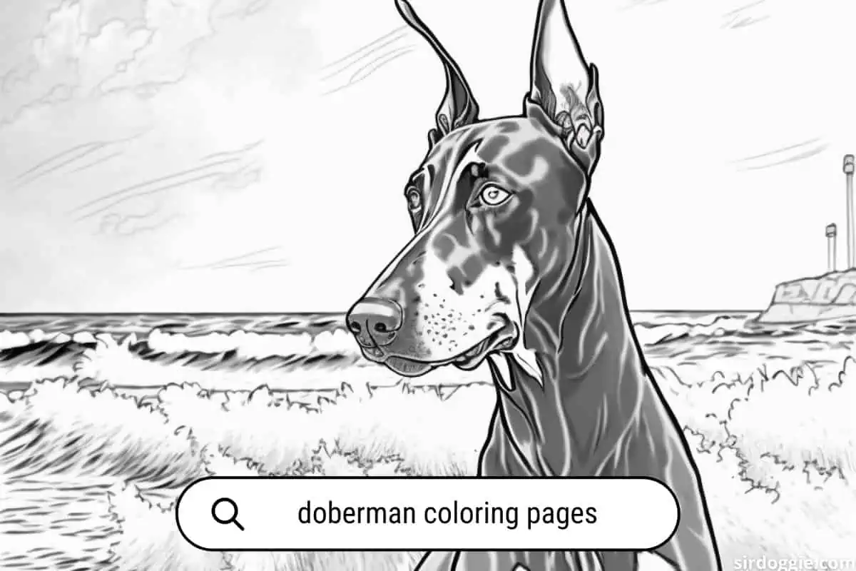 doberman coloring pages for boys