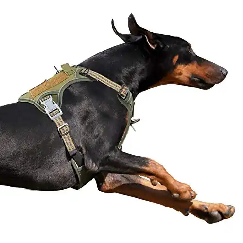 BUMBIN Tactical Dog Harness for Large Dogs, Famous TIK Tok No Pull Dog Harness
