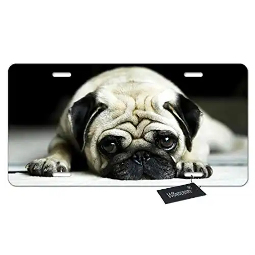 Wondertify License Plate Pug Puppy Watching Rest on The Floor Decorative Car Front License Plate,Vanity Tag,Metal Car Plate,Aluminum Novelty License Plate for Men/Women/Boy/Girls Car,6 X 12 Inch