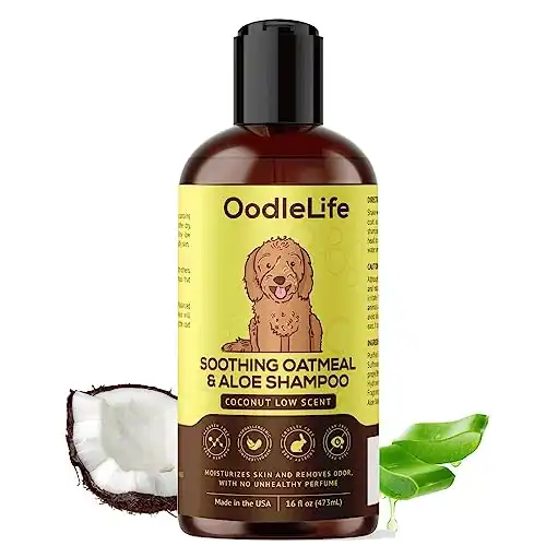 OODLELIFE Dog Shampoo and Conditioner Aloe Oatmeal + Coconut