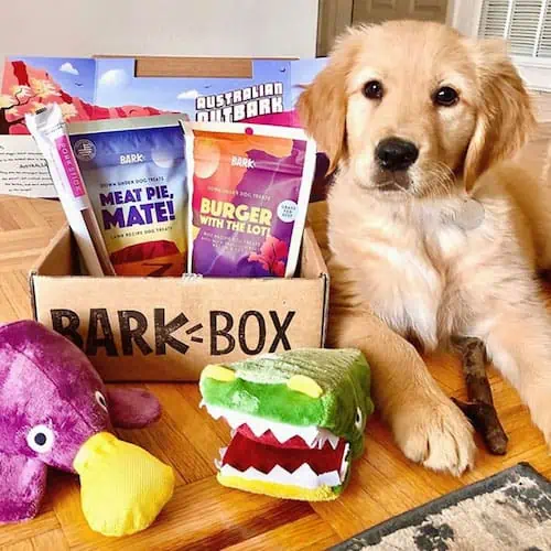 How To Enter a Promo Code on Barkbox (Super Chewer)