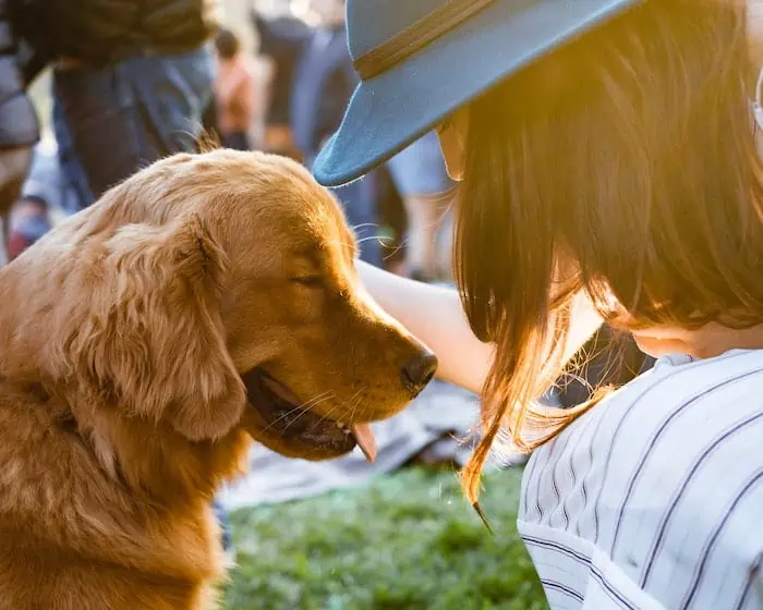 Can Dogs Detect the Presence of a Good Person