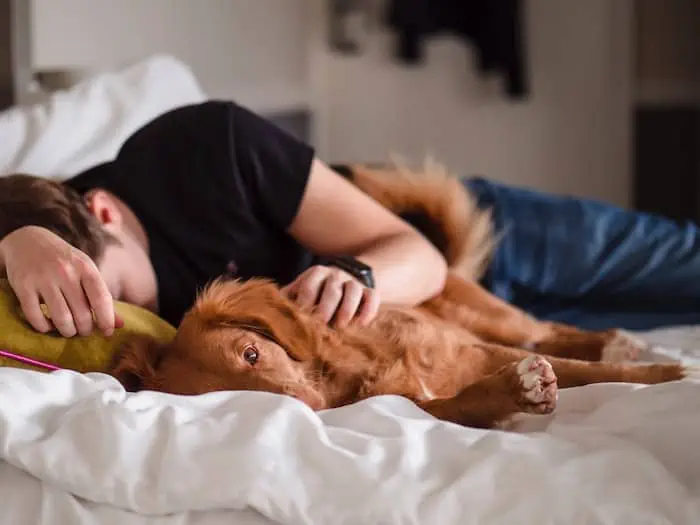 Your dog enjoys snuggling up next to you as you sleep